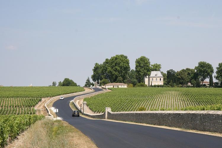 法国波尔多酒厂葡萄园农村人工林葡萄夏天免费的照片免费图片 id