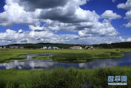 中国沙尘天气显著减少 库布其模式功不可没